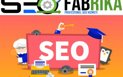 SEO Hizmeti