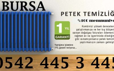 Bursa Petek Temizleme