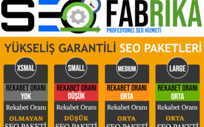 SEO Paketleri